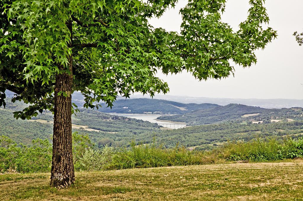 Agriturismo Terra Di Michelangelo Caprese Michelangelo ภายนอก รูปภาพ